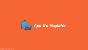 Apa Itu Paylater : Pengertian, Ciri, Kelebihan & Kekurangan - Rkonline.id